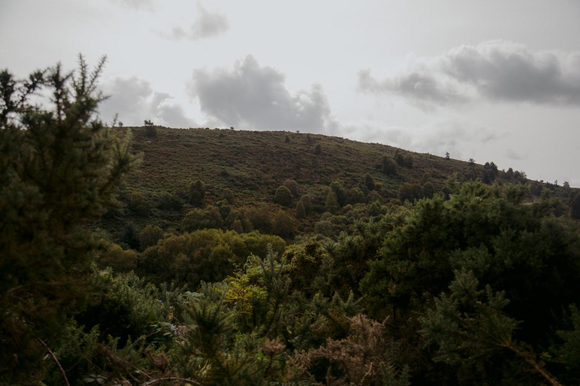 The Deerstone Luxury Eco Hideaway Villa Laragh Eksteriør bilde