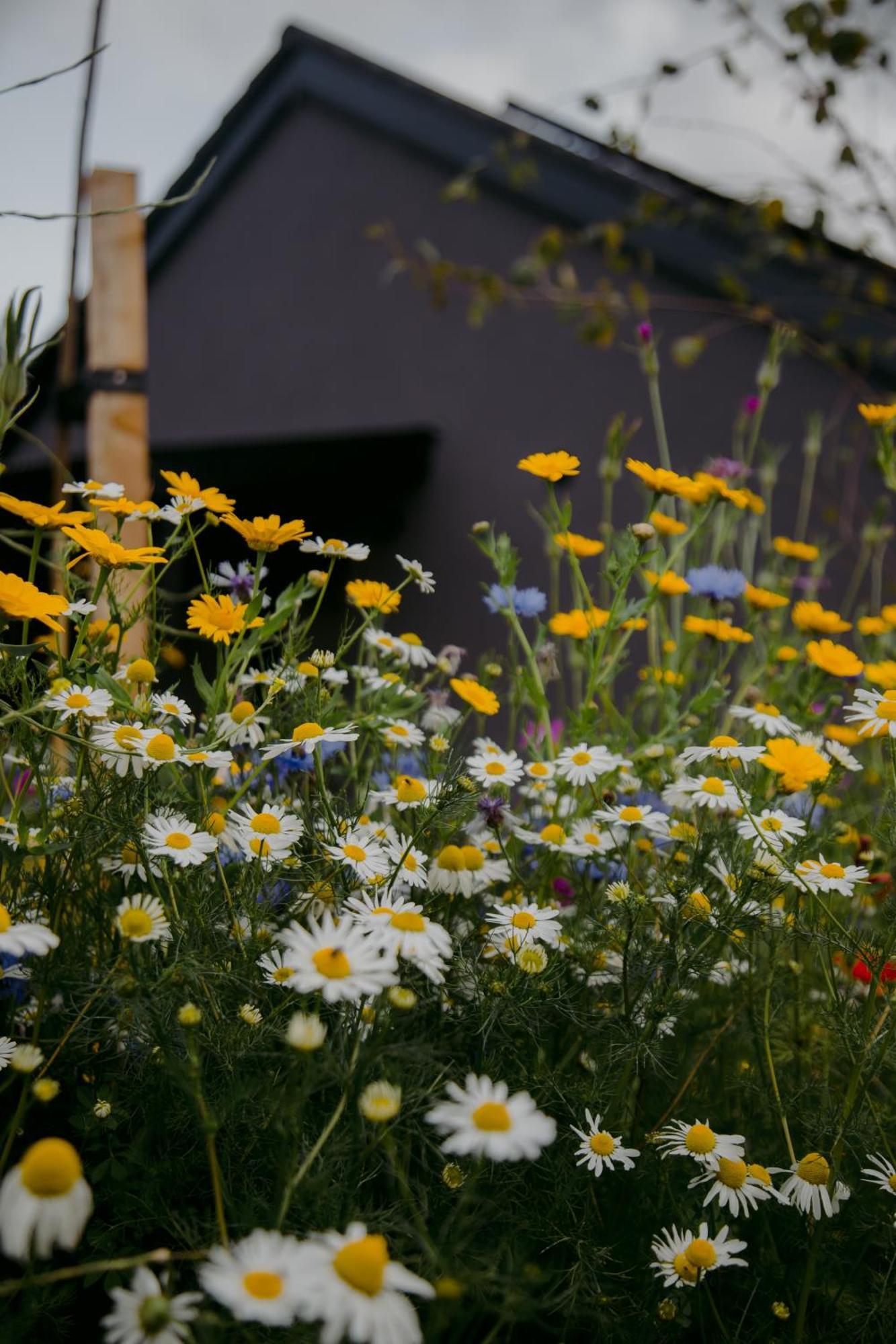 The Deerstone Luxury Eco Hideaway Villa Laragh Eksteriør bilde