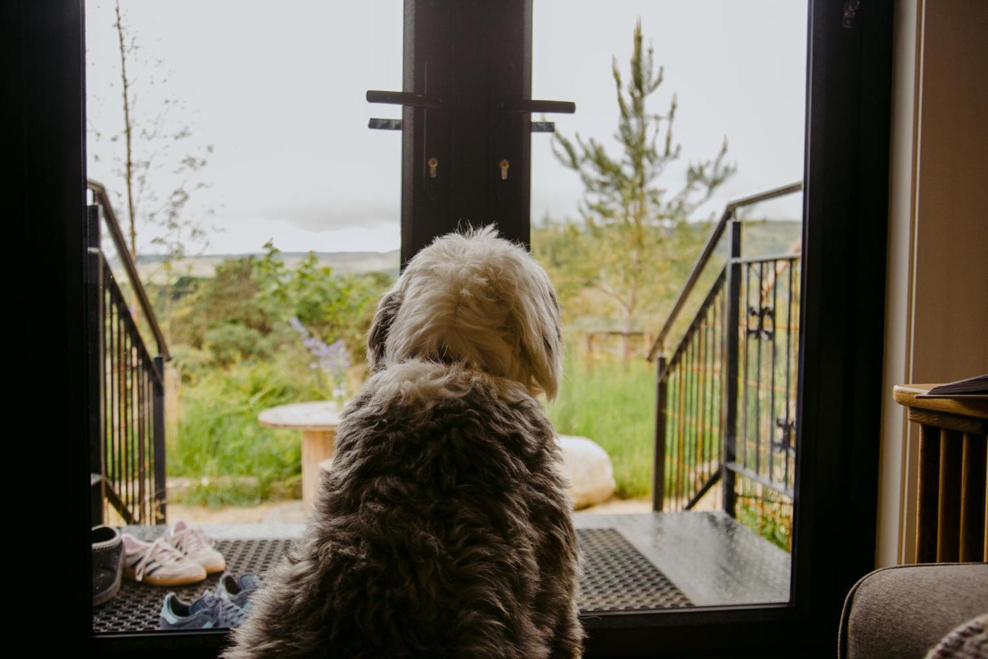 The Deerstone Luxury Eco Hideaway Villa Laragh Eksteriør bilde